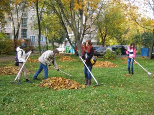 Москвичи в «Активном гражданине» решат, как часто нужно собирать листву во дворах