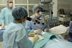 При Боткинской больнице откроют крупный офтальмологический центр