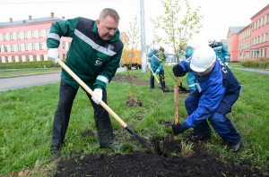 Акция «Миллион деревьев» продолжается в Москве