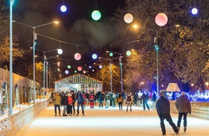 Увидеть работу столичных катков москвичи смогут с помощью онлайн-сервиса «Окно в город»