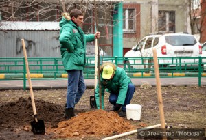 В Нагорном районе продолжится акция "Миллион деревьев" 