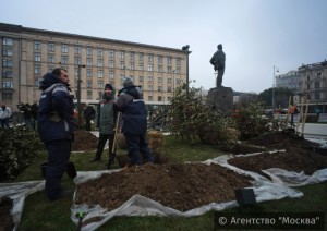 Высадка деревьев в прошлом году в Москве 