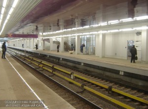 Перон станции метро Технопарк, расположенной в ЮАО