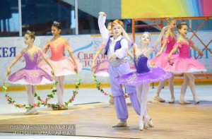 Ледовое шоу в ЮАО