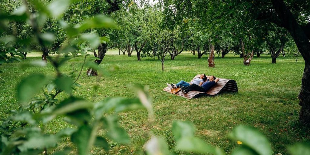 Клещи обычно активны в период с весны до осени. Фото: сайт мэра Москвы