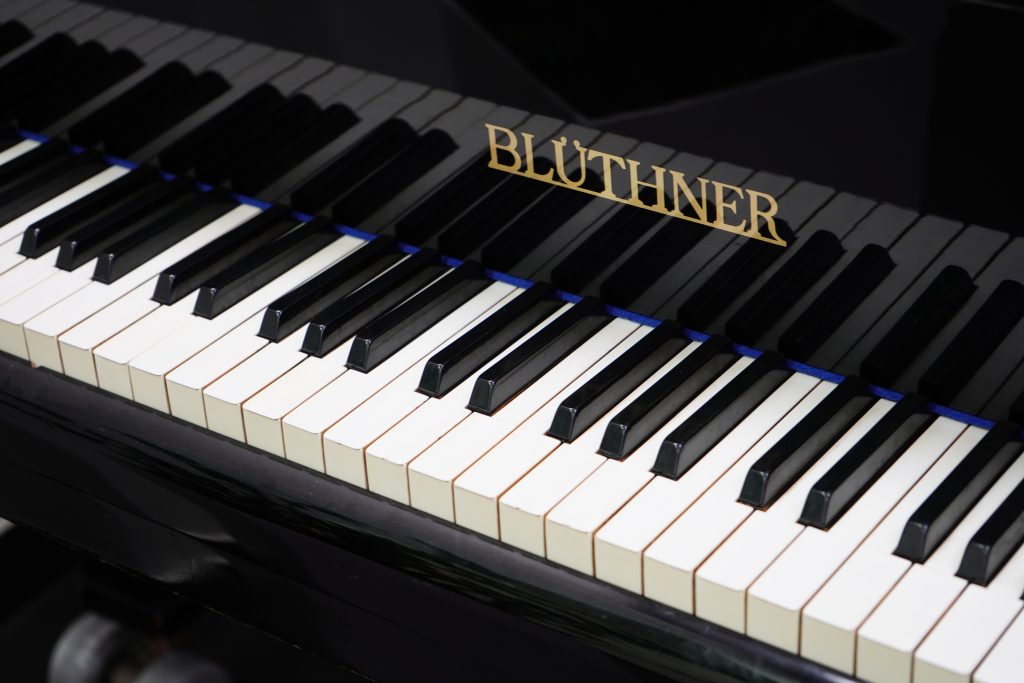 Джазовая и советская музыка: какую программу подготовят для гостей ДК «Нагорный» в рамках концерта «Мелодии и ритмы лета». Фото: Анна Быкова, «Вечерняя Москва» 