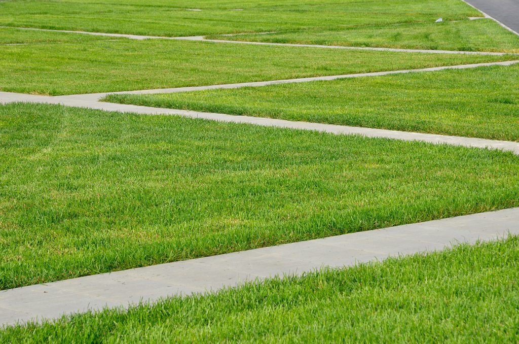 Еженедельный обход территории совершил глава управы района Нагорный. Фото: Анна Быкова, «Вечерняя Москва»