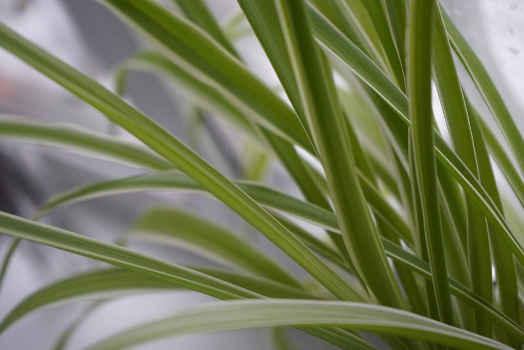 Экологическую неделю провели в дошкольных группах школы №1450 «Олимп». Фото: Анна Быкова, «Вечерняя Москва» 