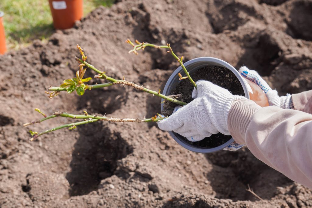 Тематическая неделя «Природа моего края» прошла в ДО школы №1450 «Олимп». Фото: Ксения Догонашева, «Вечерняя Москва»