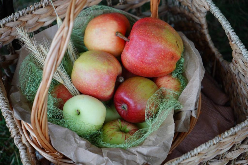 Выставку-дегустацию «Яблочный денек» откроют в библиотеке №148 имени Федора Тютчева. Фото: Анна Быкова, «Вечерняя Москва»