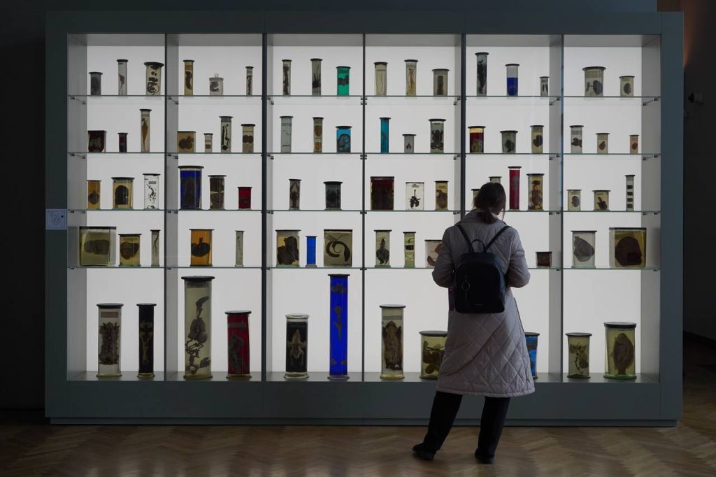 Выставку о Москве посетили четвероклассники школы №1580. Фото: Анна Быкова, «Вечерняя Москва»