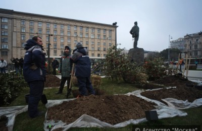 Высадка деревьев в прошлом году в Москве