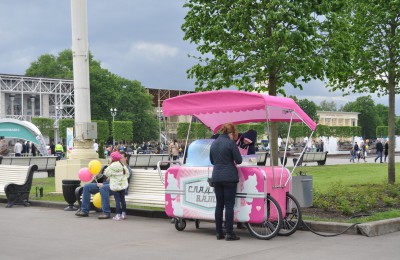 В Нагорном районе появится 8 мобильных тележек по продаже мороженого