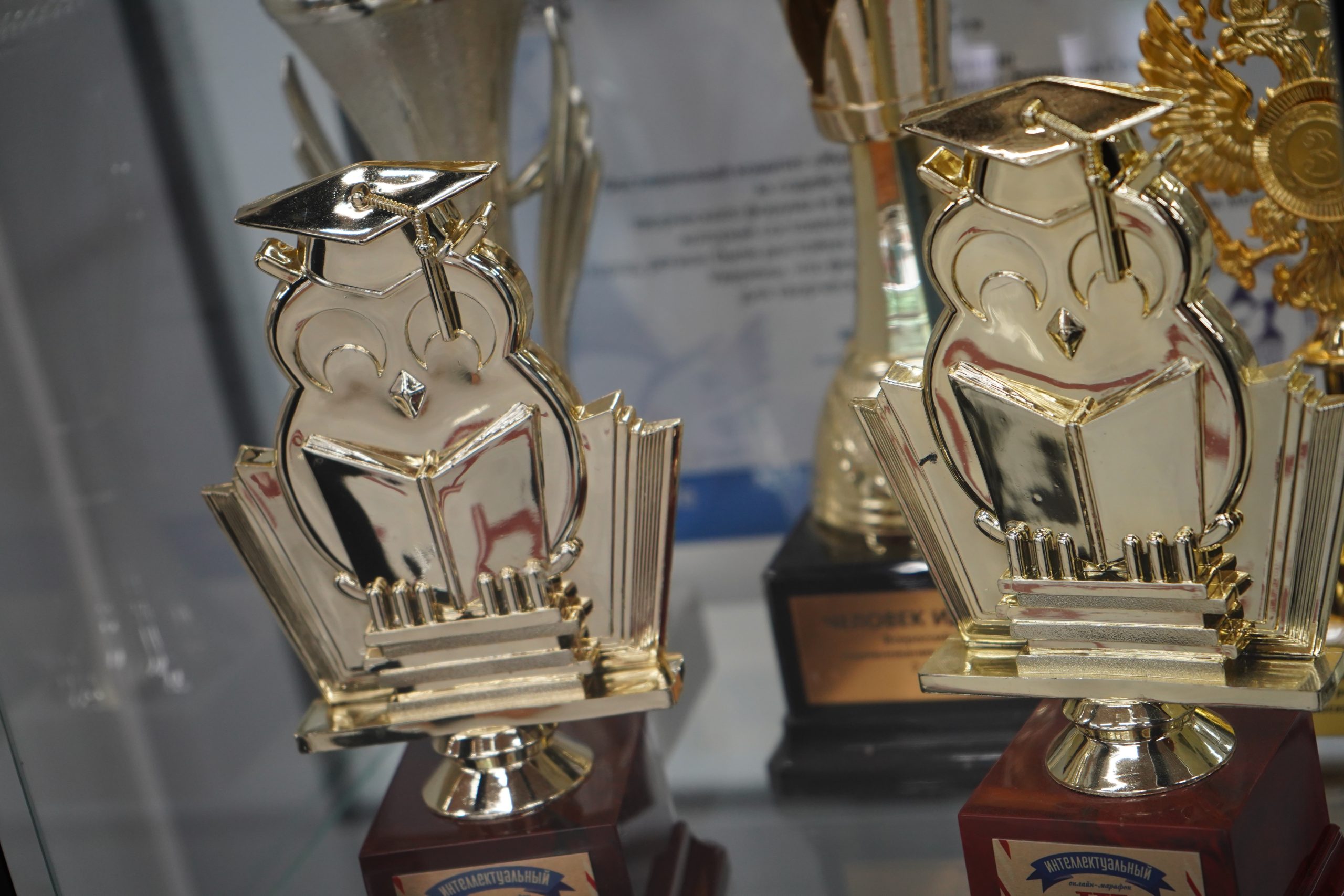 Студенты МФЮА заняли призовые места на Евразийской студенческой Олимпиаде. Фото: Анна Быкова, «Вечерняя Москва»