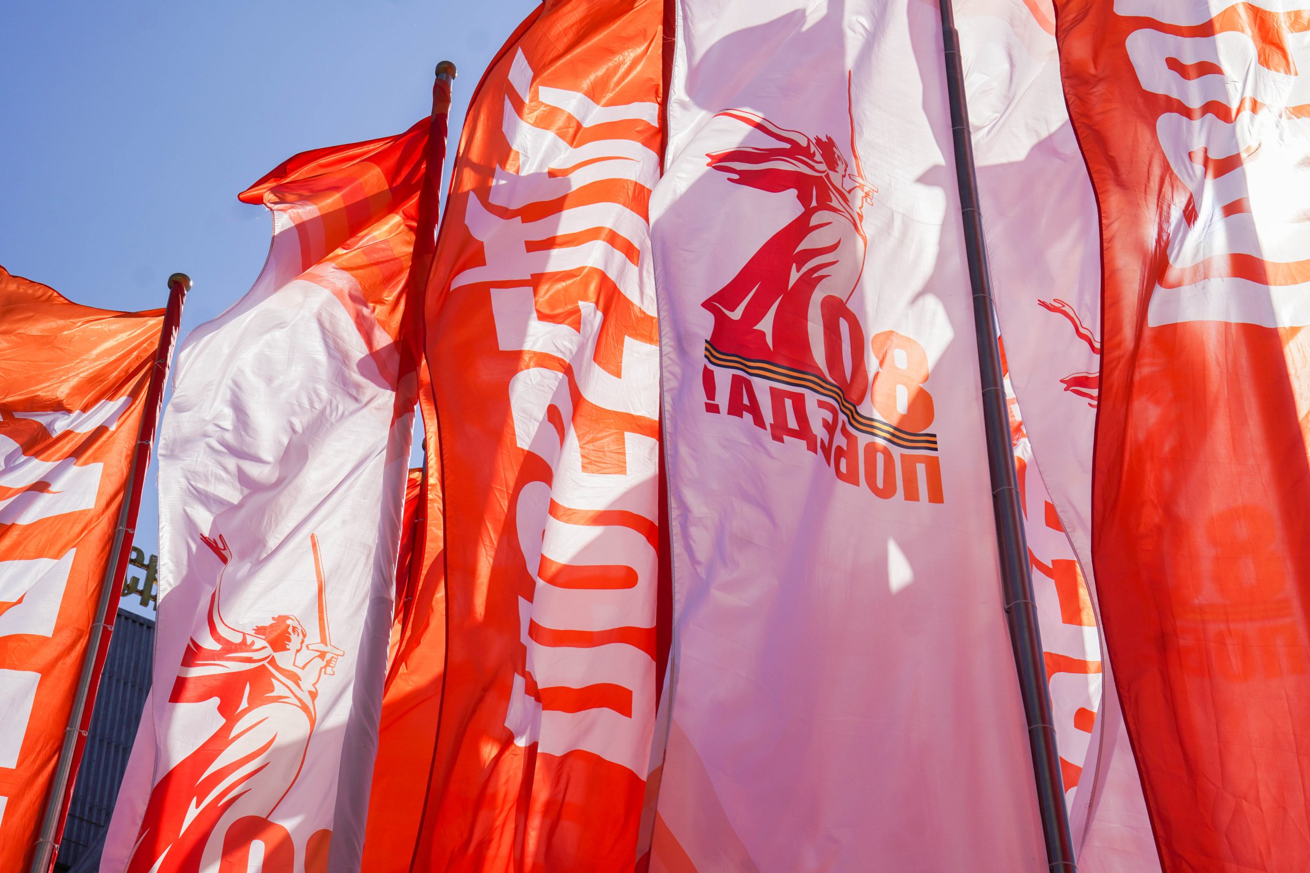 Фото: Ксения Догонашева