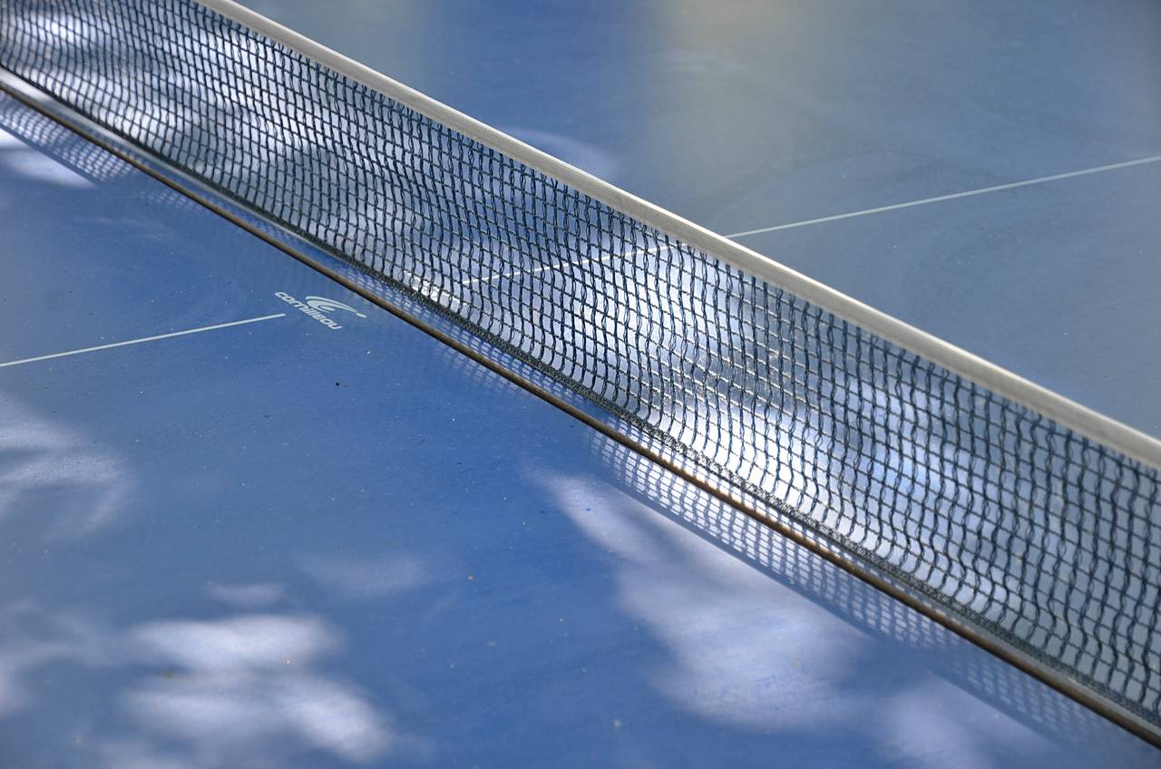 «В тонусе»: турнир по настольному теннису состоится в Нагорном. Фото: Анна Быкова, «Вечерняя Москва»