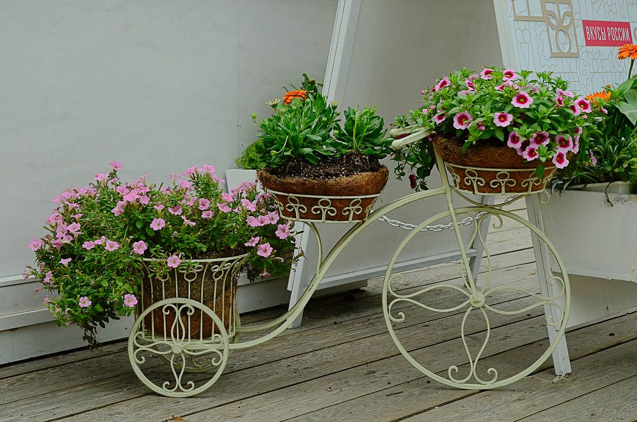 Акцию «Цветы Москвы» проводят в Нагорном. Фото: Анна Быкова, «Вечерняя Москва»