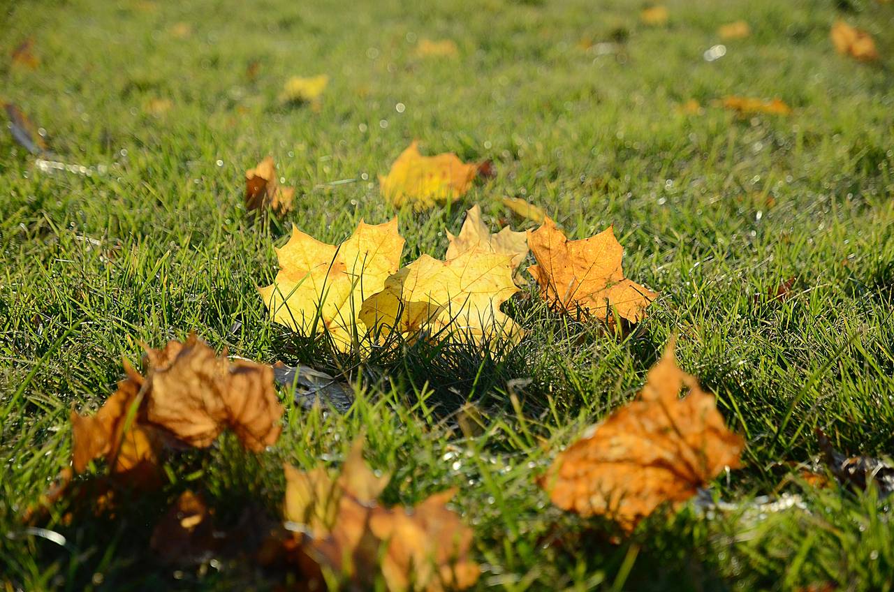 Глава управы Нагорного района проведет рабочий обход территорий. Фото: Анна Быкова, «Вечерняя Москва»