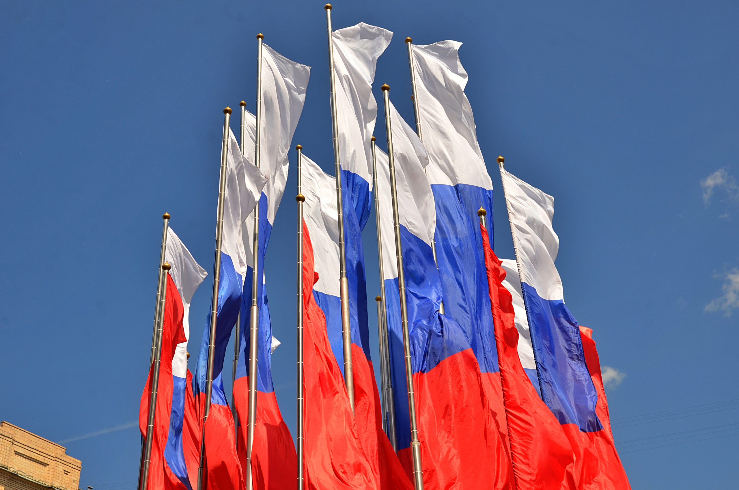 Депутат Юлия Новикова поделилась результатами заседания партии «Единая Россия». Фото: Анна Быкова, «Вечерняя Москва»